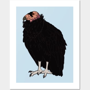 California Condor Posters and Art